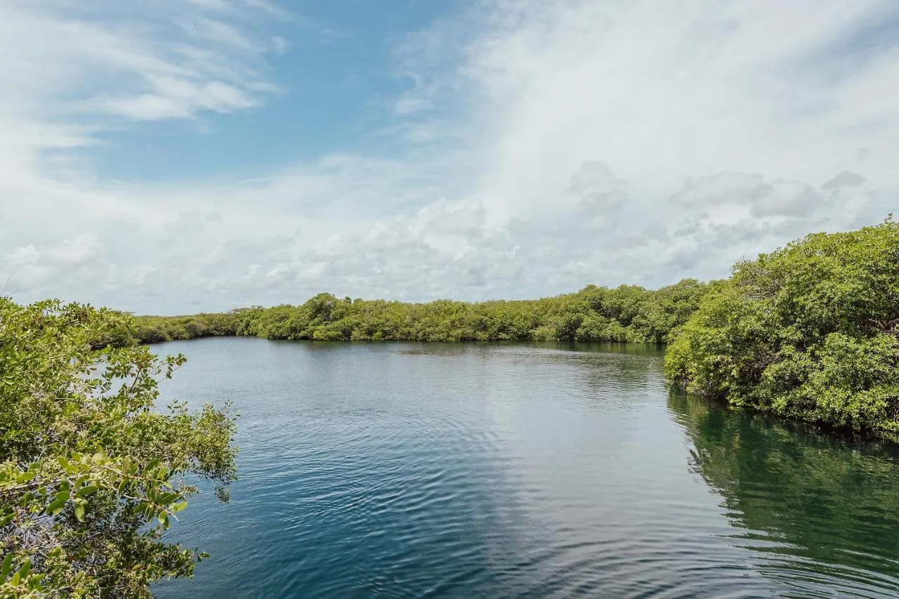Yaxchen Tulum Cabanas & Cenote Деревянный коттедж