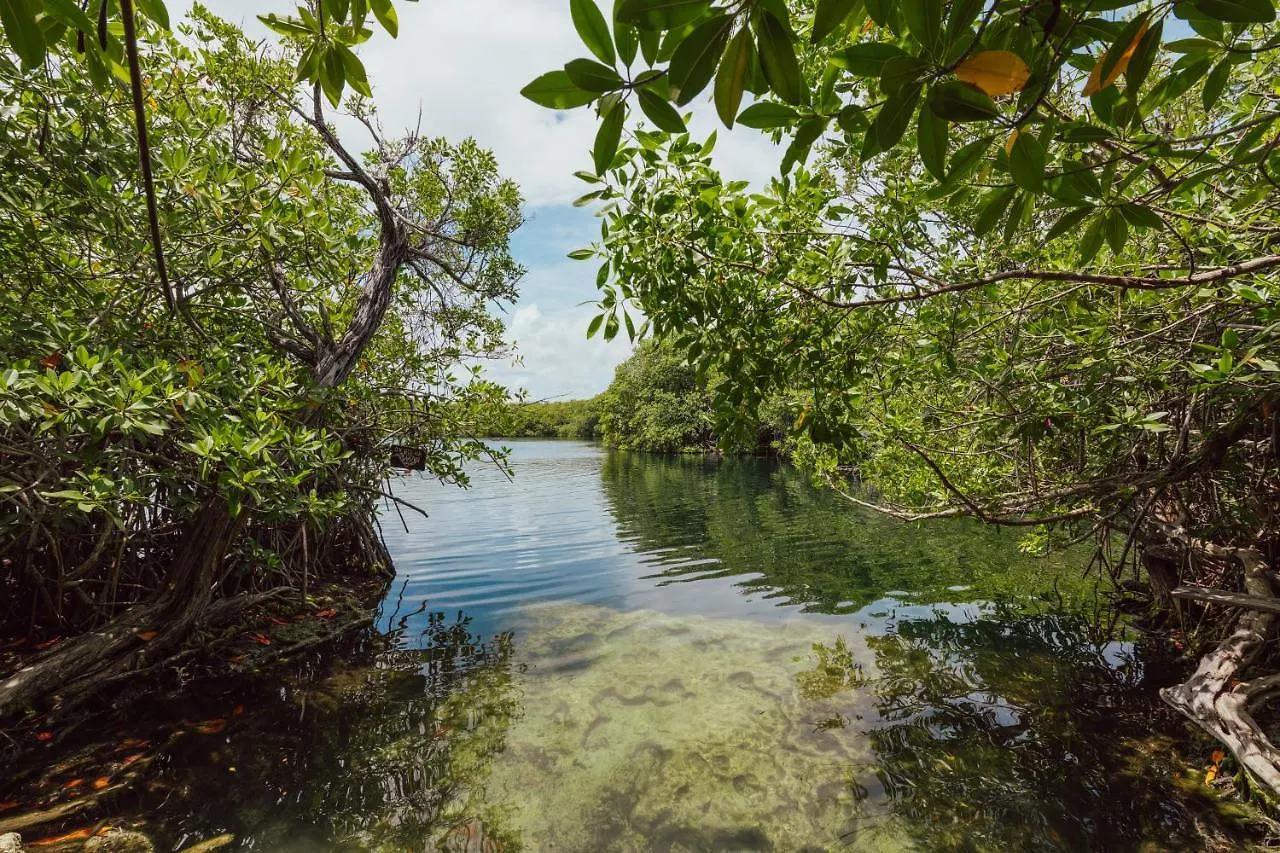 Lodge Yaxchen Tulum Cabanas & Cenote Messico