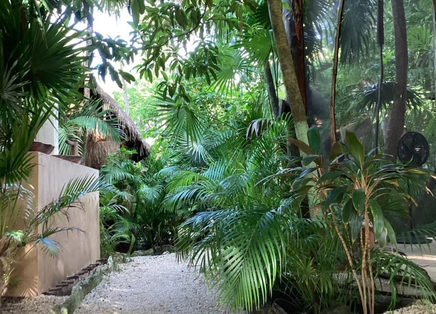 Yaxchen Tulum Cabanas & Cenote Messico
